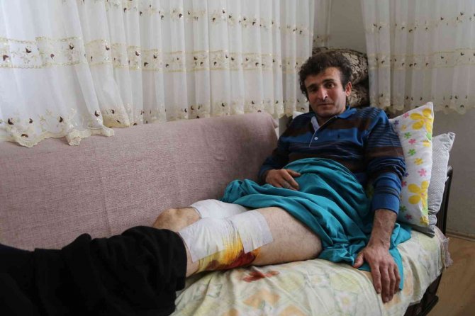 İ̇şitme Engelli Şahıs Ayı Saldırısına Uğradı