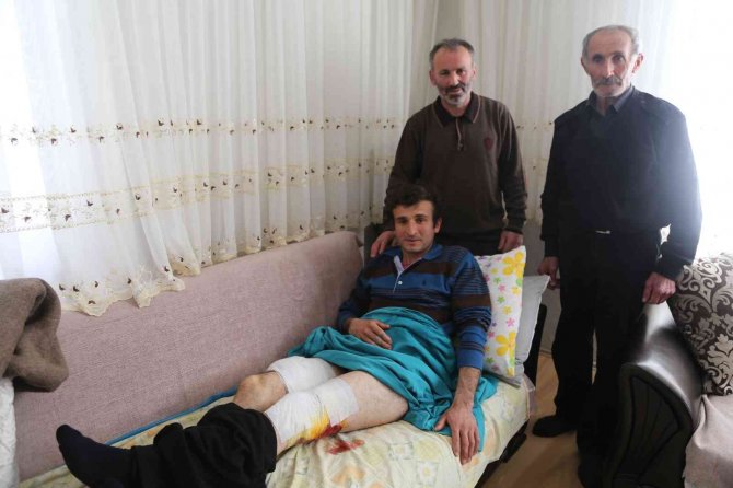 İ̇şitme Engelli Şahıs Ayı Saldırısına Uğradı