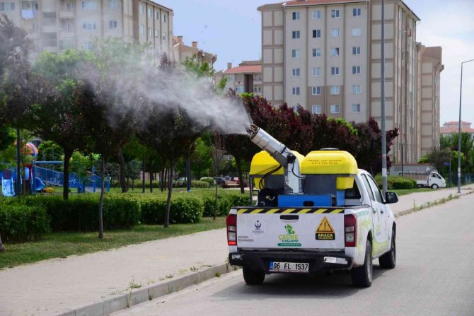 Kahramankazan’da Haşere Avcıları Mesaiye Başladı