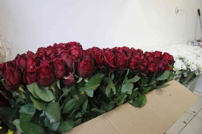 Bolu’da Çiçekçilerin 14 Şubat Hazırlıkları Başladı