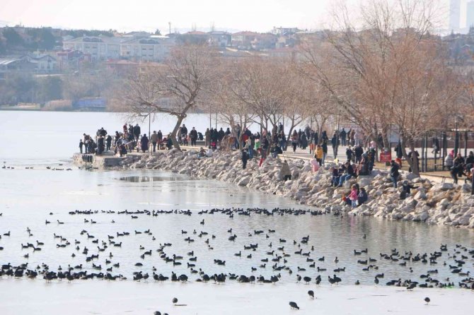 Kış Güneşi Başkent’te Parkları Renklendirdi