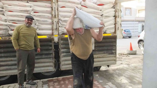 Burhaniye’de Zeytinde Gübreleme Başladı