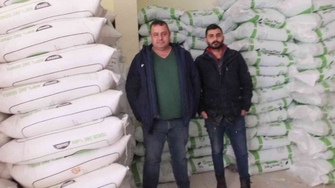 Burhaniye’de Zeytinde Gübreleme Başladı