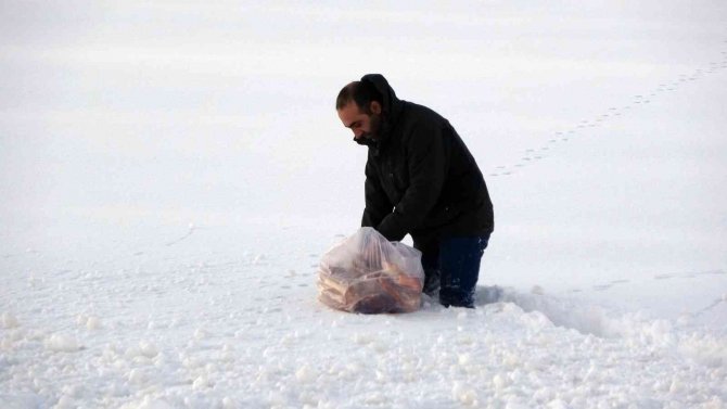 Yaban Hayvanları İçin Beline Kadar Kara Batarak Doğaya Ekmek Bıraktı