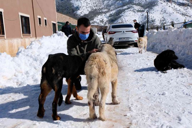Ortaokul Öğrencilerinin Geliri Barınaktaki Hayvanlara Mama Oldu