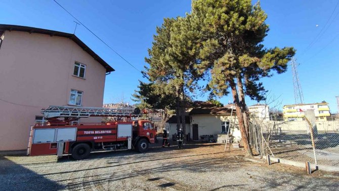 Kaçan Papağanı Yakalamak İçin Seferber Oldular