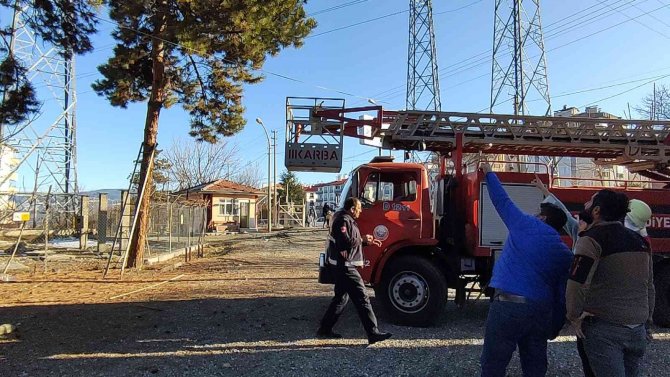 Kaçan Papağanı Yakalamak İçin Seferber Oldular