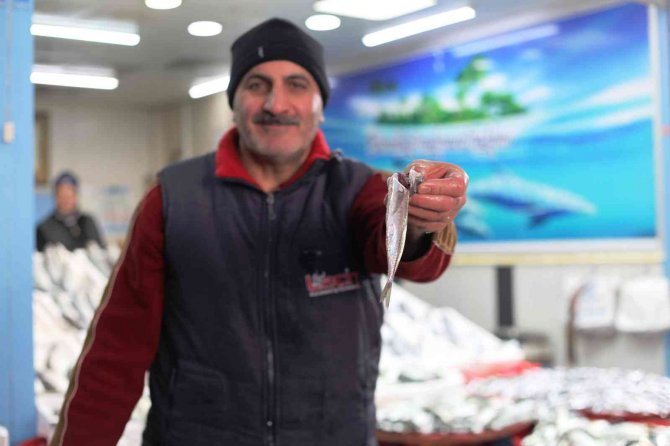 Sıcaklıkların Artmasıyla Hamsinin Fiyatında Düşüş Bekleniyor