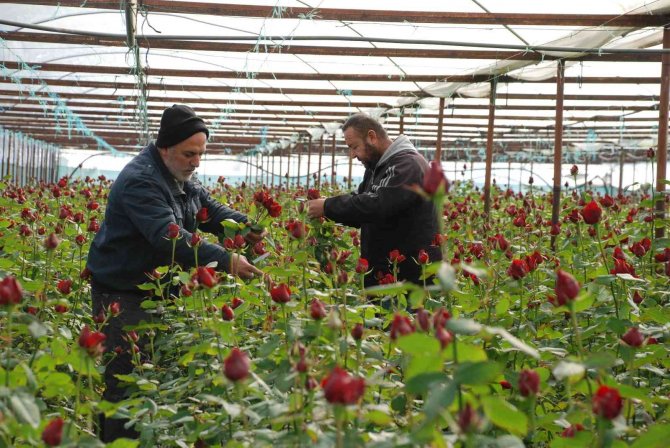 İ̇zmir Menderes’te Yoğun 14 Şubat Mesaisi