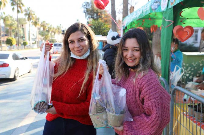 Alanya’da 14 Şubat İçin 10 Bin Çiçek Ücretsiz Dağıtıldı
