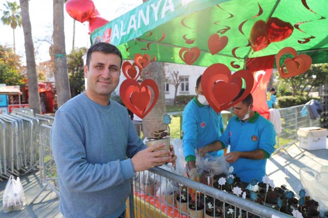 Alanya’da 14 Şubat İçin 10 Bin Çiçek Ücretsiz Dağıtıldı