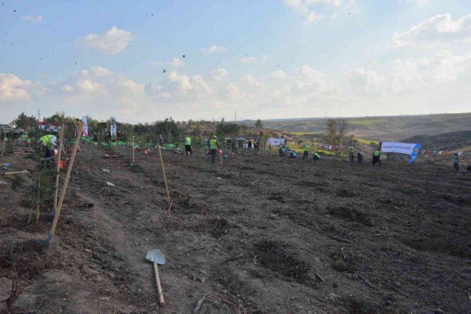 Türkiye-ukrayna Dostluk Ormanı’na İlk Fidanlar Dikildi