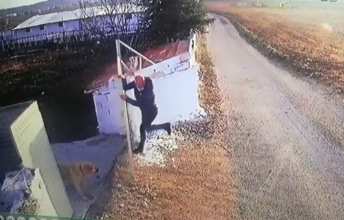 Öğretmene Köpek Saldırısı Güvenlik Kamerasında