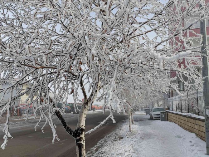 Ardahan Eksi 20 Derece