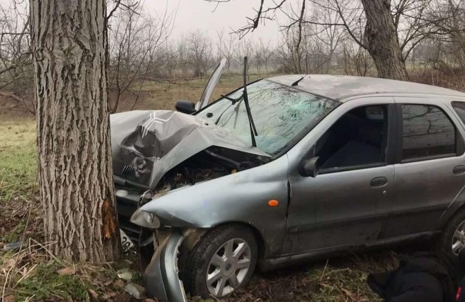 Yoldan Çıkan Otomobil Ağaca Çarptı, 1 Yaralı