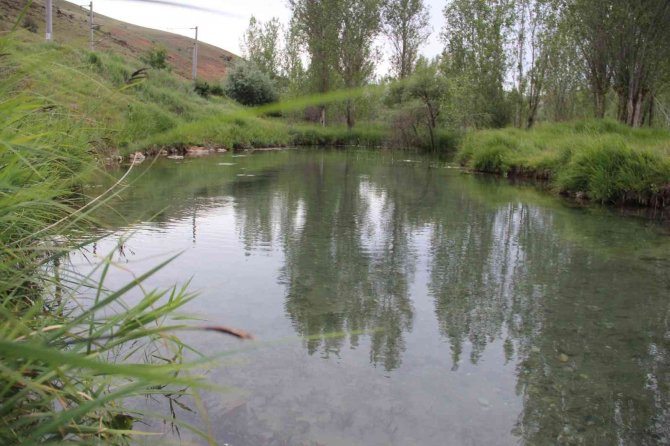 Cumhurbaşkanı İmzayı Attı, Doktor Balıklar Köyüne Kavuşuyor