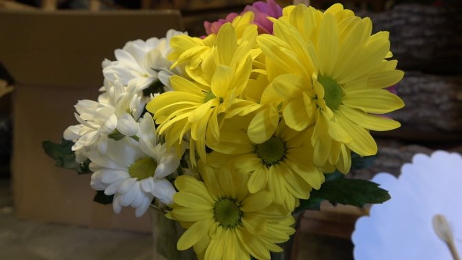 Çiçek Fiyatları Katlandı, Sevgililerin Eli Boş Kaldı