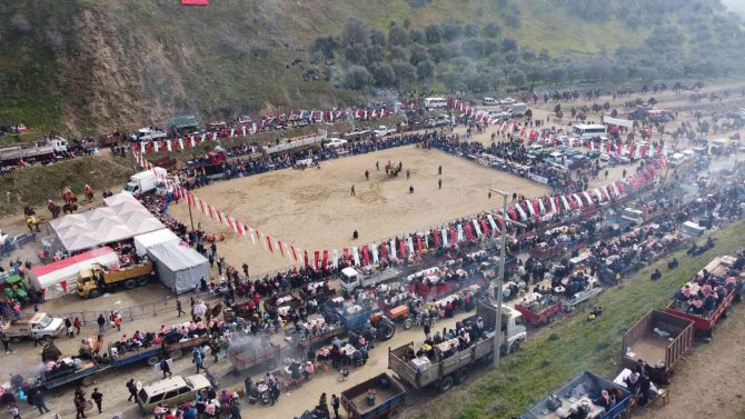 Deve Güreşi Tutkunları Kuyucak’ta Buluştu