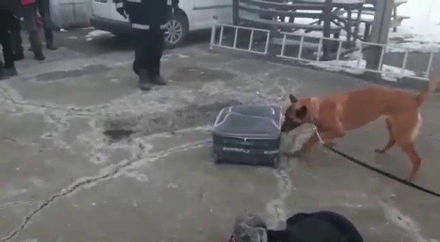 İ̇zne Çıkan Uzman Çavuş Valiz İçine Sakladığı 10 Kilo 50 Gram Uyuşturucu Maddesi İle Yakalandı
