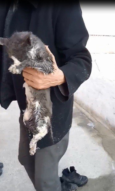 Buzlanan Boruda Mahsur Kalan Kediyi Böyle Kurtardı