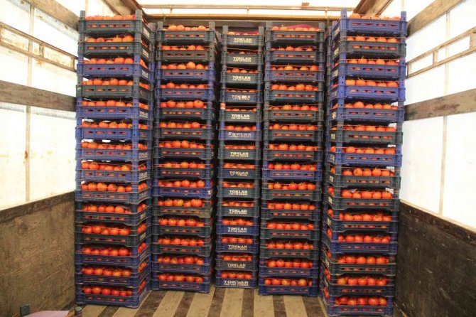 Antalya’da Isınan Hava Üretimi Arttırdı Fiyatlar Düşmeye Başladı