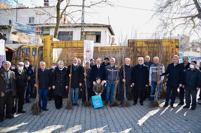 Bilecik Cennet Hurmasının Merkezi Olma Yolunda