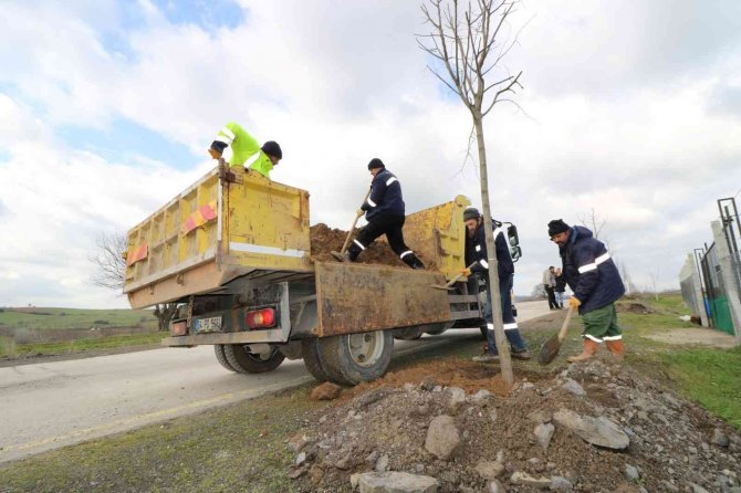 Yol Kenarları Yeşile Bürünecek