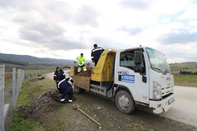 Yol Kenarları Yeşile Bürünecek