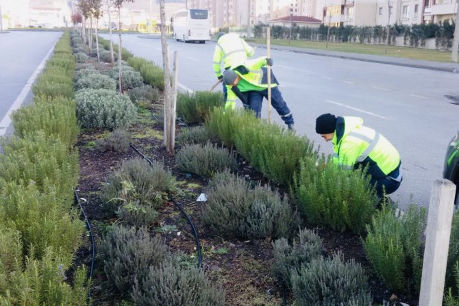 Körfez’de Yeşil Alanlar Bakımdan Geçiyor