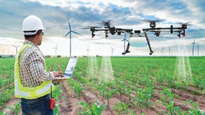 Fındık Bahçeleri Fi̇ha’lar İle İlaçlanacak