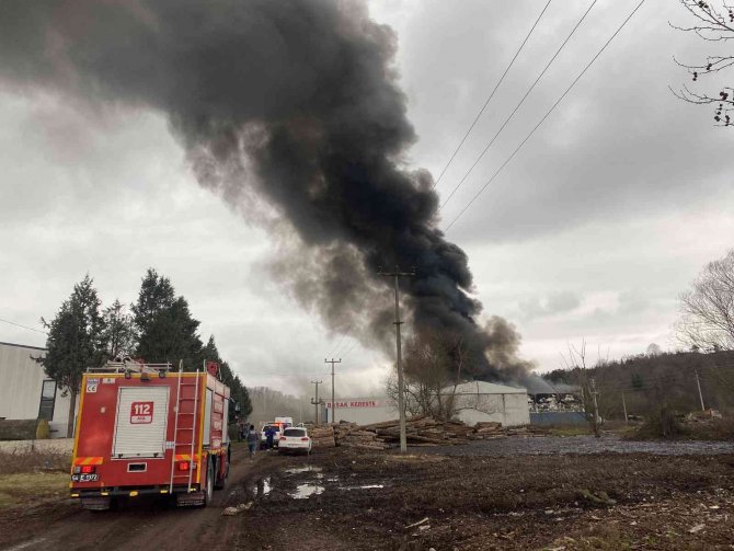 Sakarya’da Geri Dönüşüm Fabrikasında Büyük Yangın