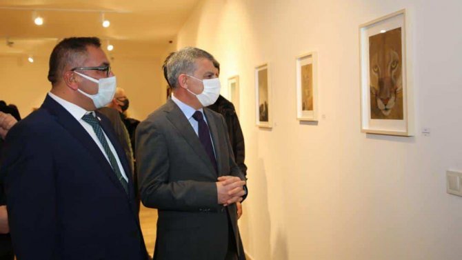 Tunceli’de ’Necefli Maşrapa Serisi: Hayvan Krallığı-ıı’ Sergisi Açıldı