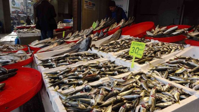 Hamsi Bu Defa Üzdü