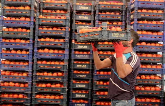 Antalya’da Isınan Hava Üretimi Arttırdı Fiyatlar Düşmeye Başladı