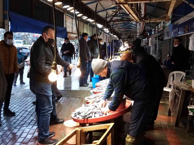 Bandırma Balık Hali’nde Hamsi Bolluğu Yaşanıyor