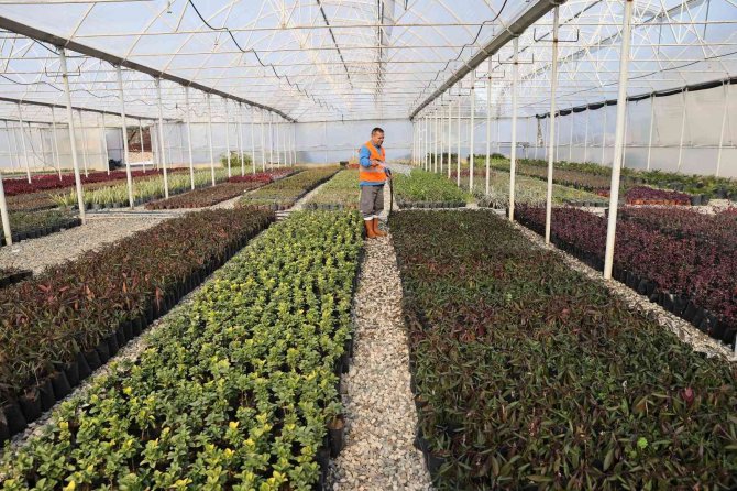 Bitki Üretiminden 6 Milyon Tl Tasarruf