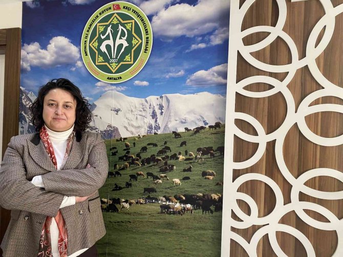 Küçükbaş Hayvan Yetiştiriciliğinde Antalya, Türkiye’de 2. Sırada