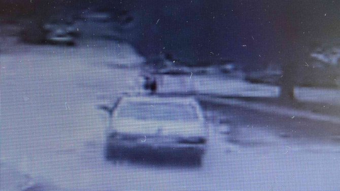 Ordu’da Otomobil Sürücüsü Aracını Antrenörün Üzerine Sürdü, Köpek Yaralandı