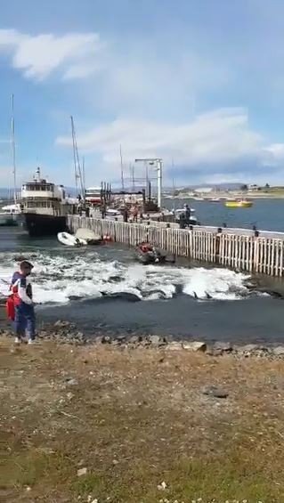 Arjantin’de Yalancı Katil Balinalar Kıyıya Vurdu