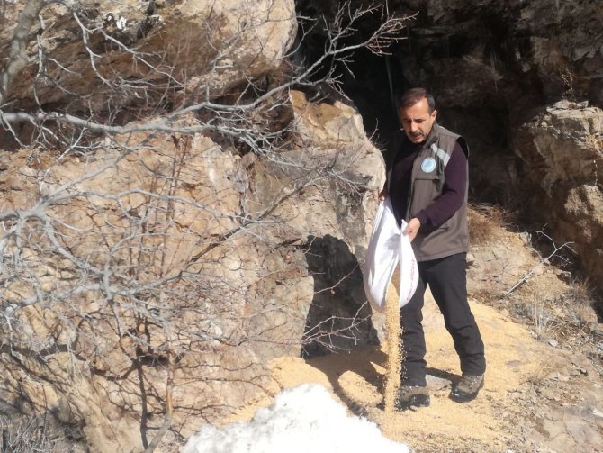 Tunceli’de Yemleme Ve Denetim Çalışmaları Sürüyor