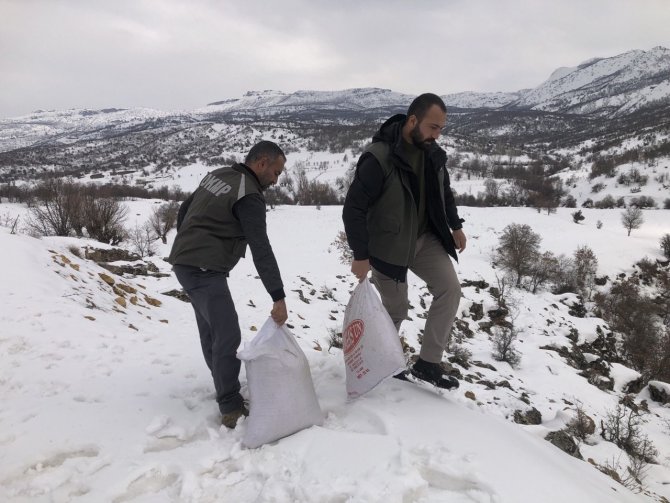 Tunceli’de Yemleme Ve Denetim Çalışmaları Sürüyor