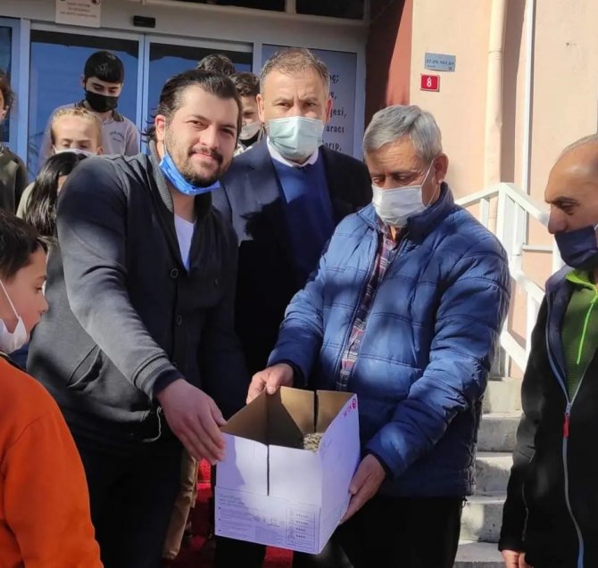 Yolda Bulduğu Yavru Baykuşu Elleriyle Besledi