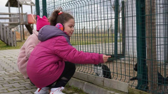 Kendi Küçük Sevgisi Büyük: Doğum Gününü Barınaktaki Can Dostlarla Kutladı