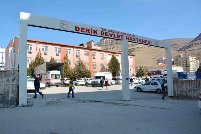 Mardin’de Sokak Köpeği Vahşeti: Vatandaşların Yüzleri Parçalandı