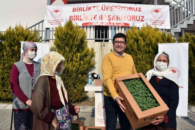 Yangın Mağduru Üreticilere Yem Desteği