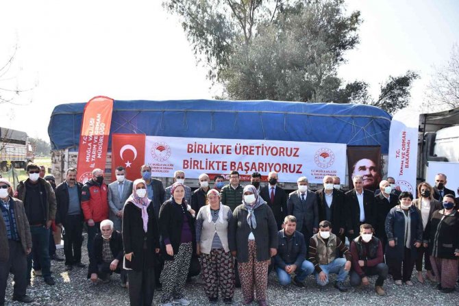 Yangın Mağduru Üreticilere Yem Desteği