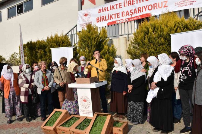 Yangın Mağduru Üreticilere Yem Desteği