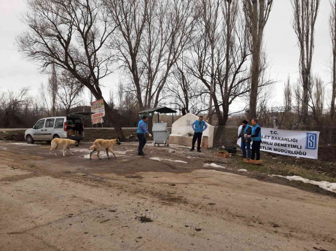 Doğada Yaşayan Hayvanlar Unutulmadı