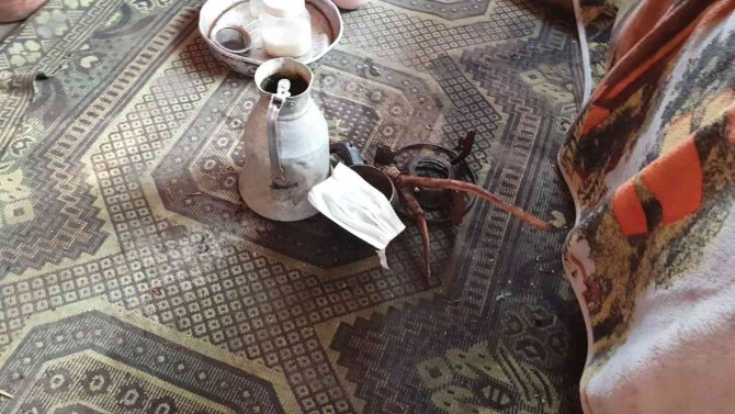 Alev Alan Piknik Tüpü Evi Yakıyordu