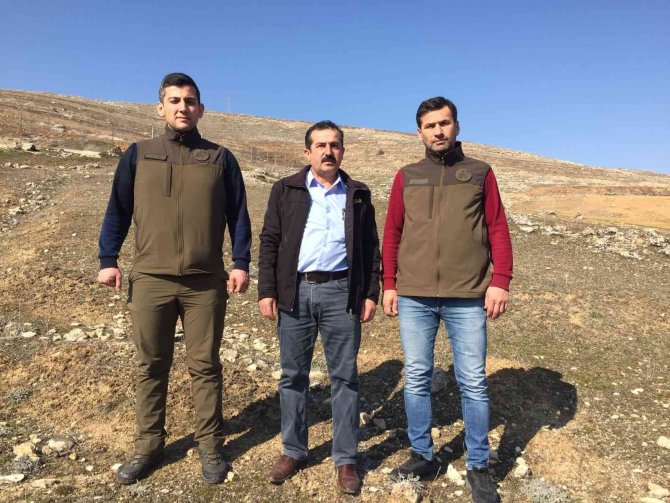 Kaçak Avcıların Kurduğu Tuzaklar Yıkıldı